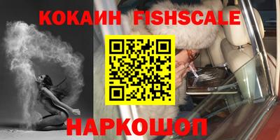 a pvp Новозыбков