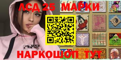 a pvp Новозыбков