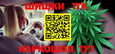 a pvp Новозыбков